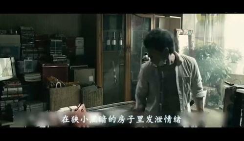 视频看看国产好片及,光影中的中国故事