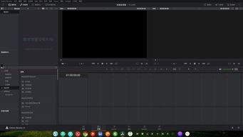 国产操作系统最新视频,引领未来科技潮流