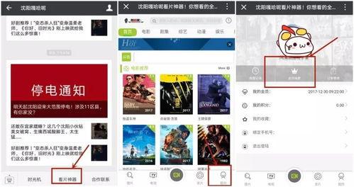 国产福利100视频,揭秘国内短视频平台的魅力与挑战