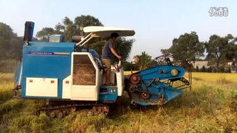 国产收割机转场视频播放,高效农业机械化新篇章