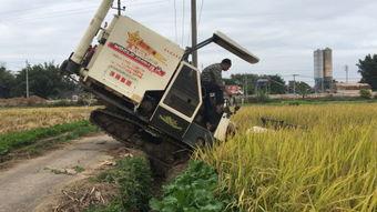 国产收割机转场视频播放,高效农业机械化新篇章