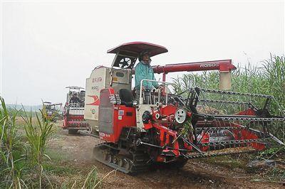 国产收割机转场视频播放,高效农业机械化新篇章