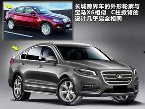 国产失败跨界车视频播放