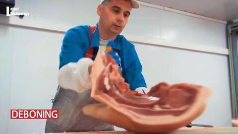 国产杀鸡流水线视频,高效自动化，见证现代养殖技术革新