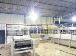 国产杀鸡流水线视频,高效自动化，见证现代养殖技术革新