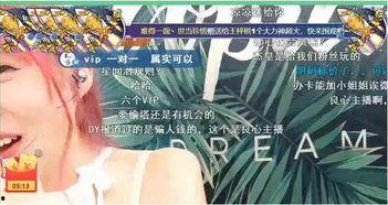 国产女主播VIP视频在线播放,国产女主播VIP视频在线播放，带你领略精彩瞬间