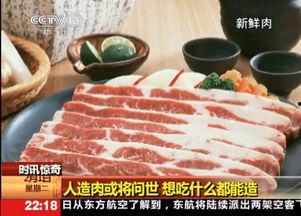 国产人造肉视频,创新科技引领未来肉类消费新趋势