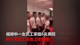 国产女王sm免费视频在线观看,揭秘隐秘网络世界
