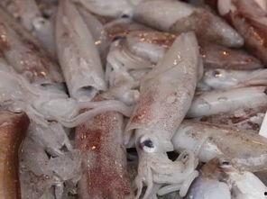 国产鱿鱼怎么处理的视频,视频教学带你轻松入门