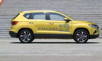 国产四轮车视频,科技驱动，驰骋未来