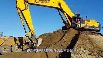 国产大挖机对比视频播放,视频解析与深度对比