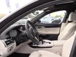 老人开国产车视频