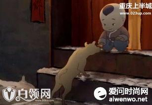 国产漫画解说全集完整视频