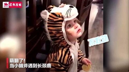 呆娃推荐国产路亚竿视频