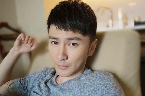 国产男明星老帅哥视频