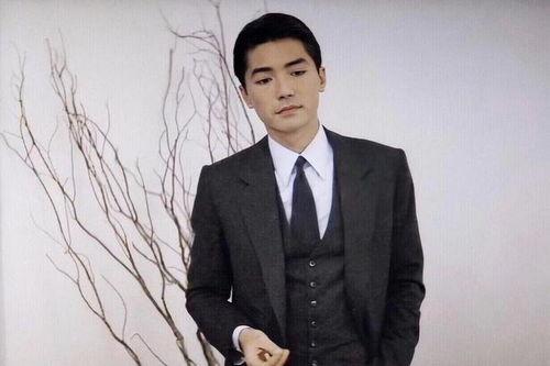 国产男明星老帅哥视频