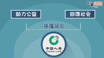 保险视频国产,揭秘保险视频国产生态与发展
