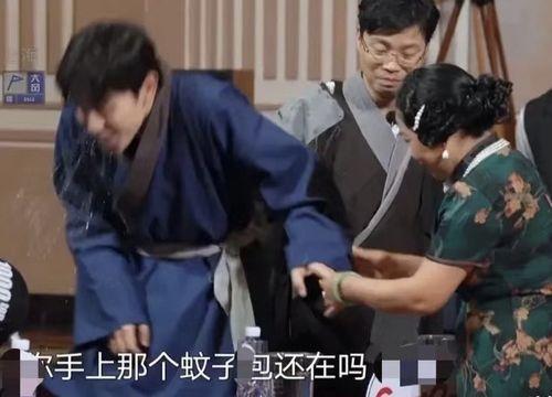 贞子国产综艺搞笑视频,国产综艺搞笑视频带你领略恐怖喜剧新境界